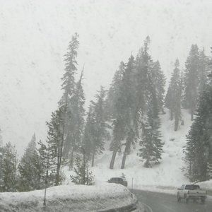 Meet your Posher, Blujay's